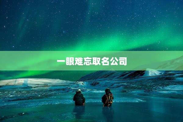 一眼难忘取名公司