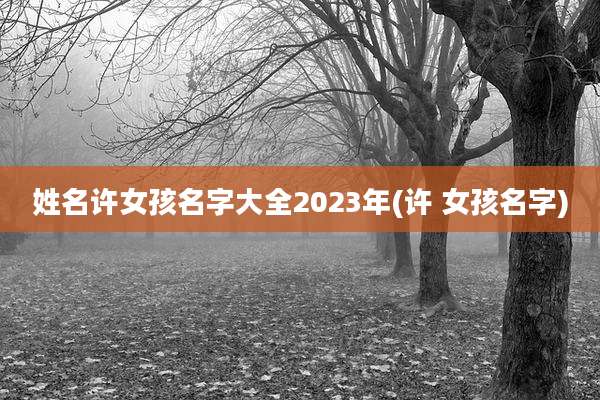 姓名许女孩名字大全2023年(许 女孩名字)