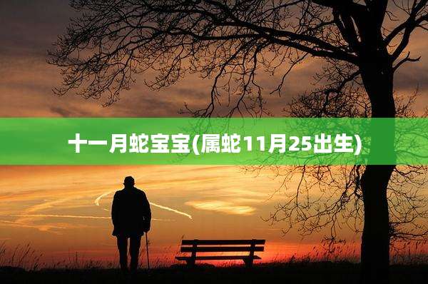 十一月蛇宝宝(属蛇11月25出生)