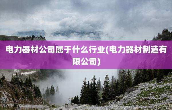 电力器材公司属于什么行业(电力器材制造有限公司)
