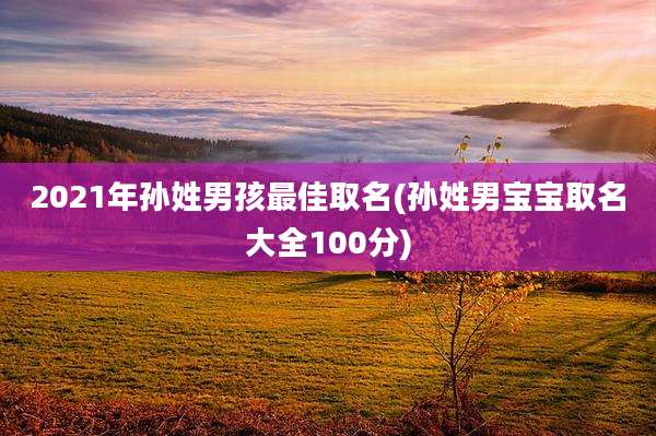 2021年孙姓男孩最佳取名(孙姓男宝宝取名大全100分)
