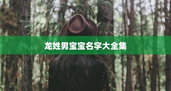 龙姓男宝宝名字大全集