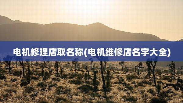 电机修理店取名称(电机维修店名字大全)