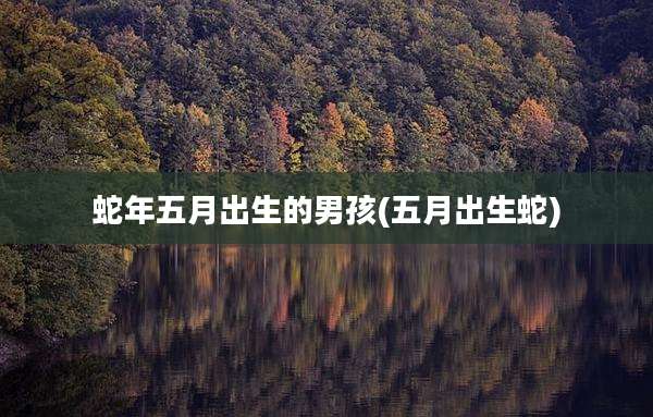 蛇年五月出生的男孩(五月出生蛇)