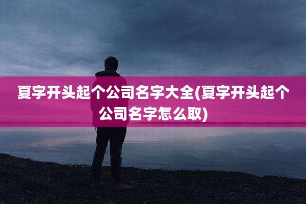 夏字开头起个公司名字大全(夏字开头起个公司名字怎么取)