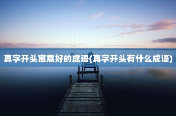 真字开头寓意好的成语(真字开头有什么成语)