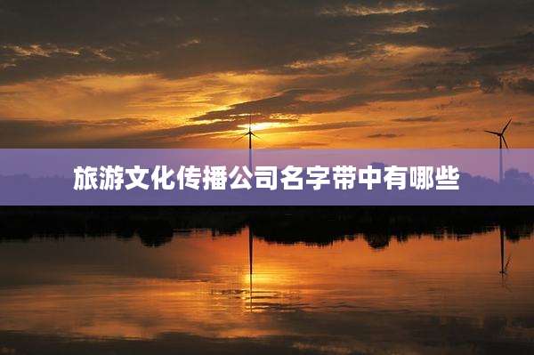 旅游文化传播公司名字带中有哪些