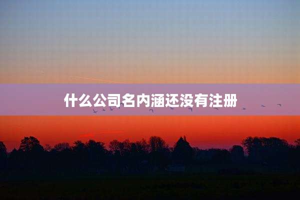 什么公司名内涵还没有注册