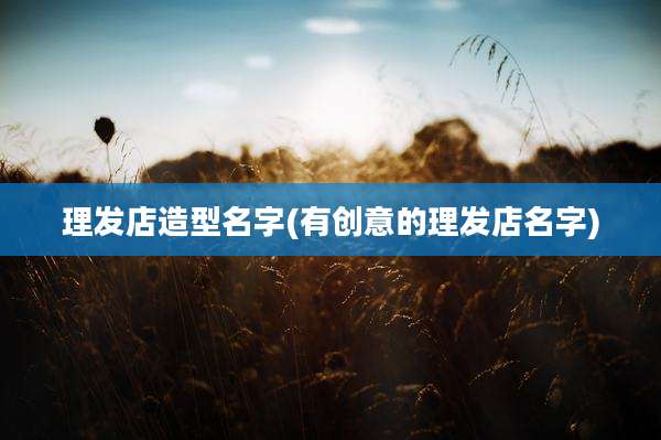 理发店造型名字(有创意的理发店名字)