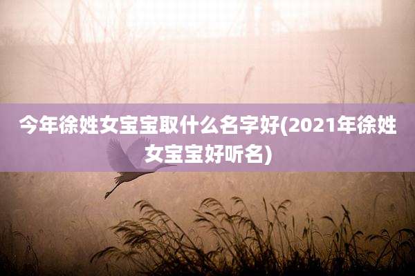 今年徐姓女宝宝取什么名字好(2021年徐姓女宝宝好听名)