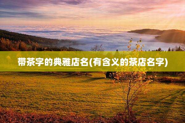 带茶字的典雅店名(有含义的茶店名字)