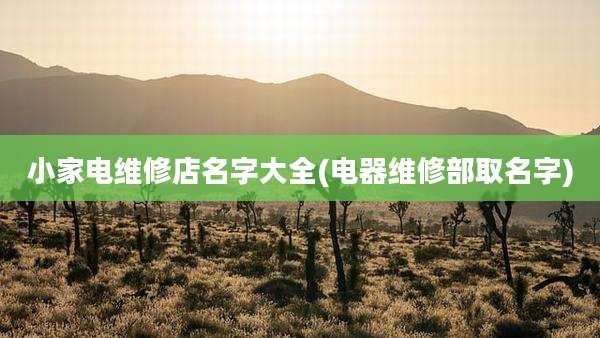小家电维修店名字大全(电器维修部取名字)