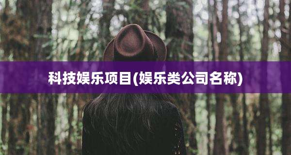 科技娱乐项目(娱乐类公司名称)