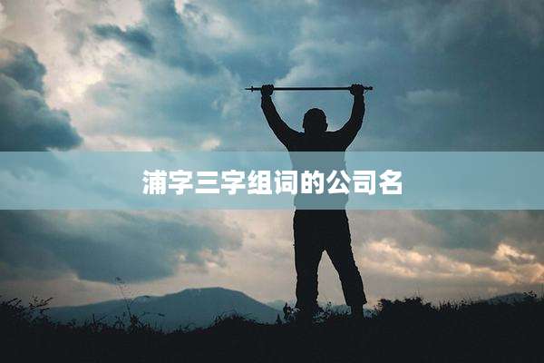 浦字三字组词的公司名
