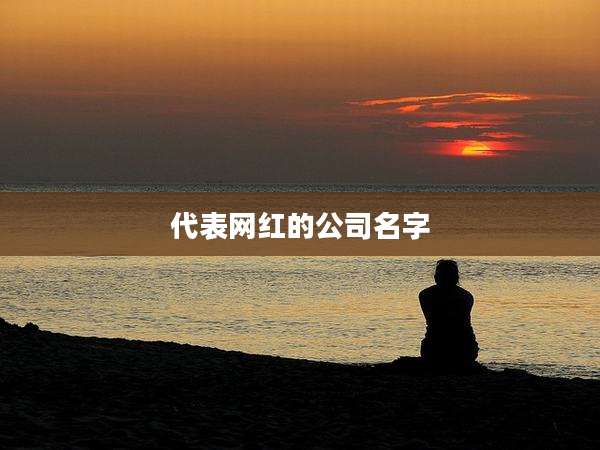 代表网红的公司名字