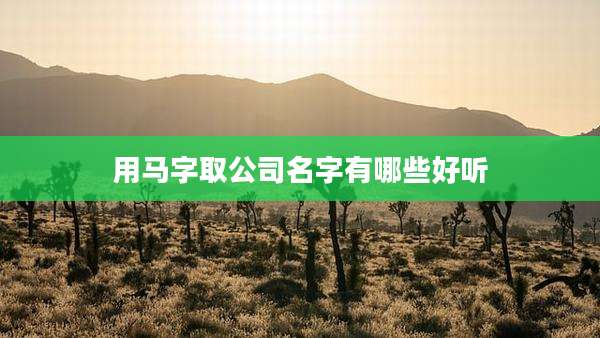 用马字取公司名字有哪些好听