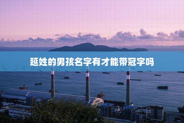 延姓的男孩名字有才能带冠字吗