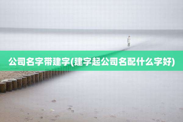 公司名字带建字(建字起公司名配什么字好)