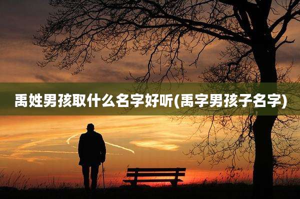禹姓男孩取什么名字好听(禹字男孩子名字)
