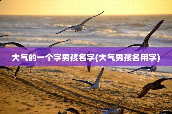大气的一个字男孩名字(大气男孩名用字)