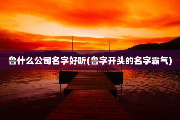 鲁什么公司名字好听(鲁字开头的名字霸气)