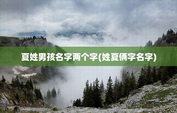 夏姓男孩名字两个字(姓夏俩字名字)