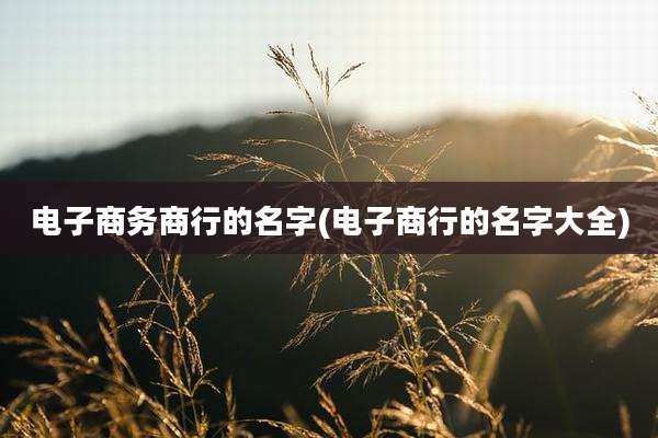 电子商务商行的名字(电子商行的名字大全)