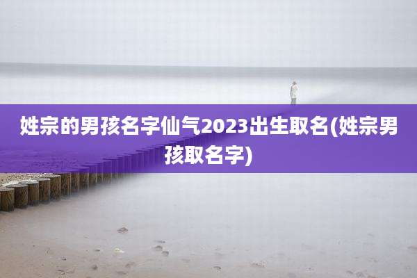 姓宗的男孩名字仙气2023出生取名(姓宗男孩取名字)