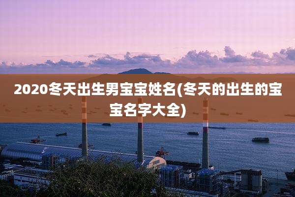2020冬天出生男宝宝姓名(冬天的出生的宝宝名字大全)