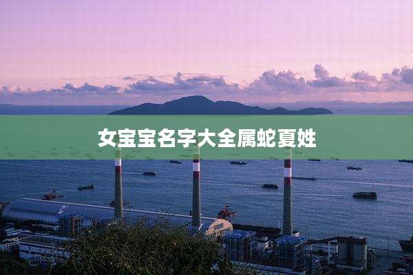 女宝宝名字大全属蛇夏姓