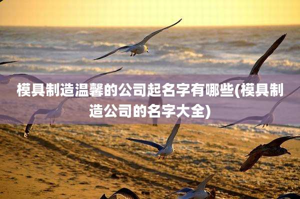 模具制造温馨的公司起名字有哪些(模具制造公司的名字大全)