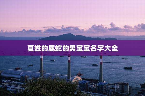 夏姓的属蛇的男宝宝名字大全