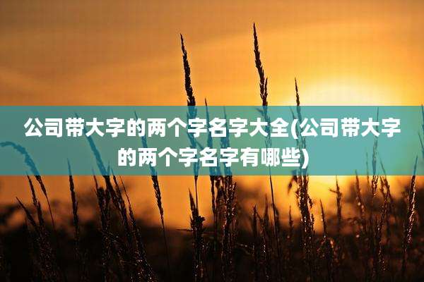 公司带大字的两个字名字大全(公司带大字的两个字名字有哪些)