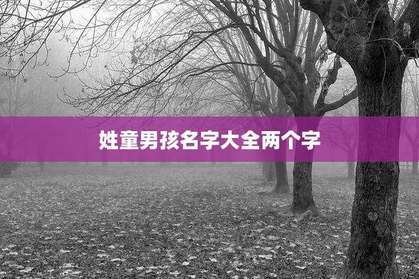 姓童男孩名字大全两个字