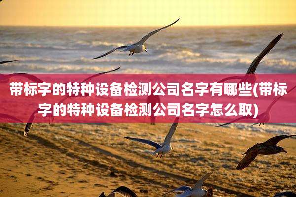 带标字的特种设备检测公司名字有哪些(带标字的特种设备检测公司名字怎么取)