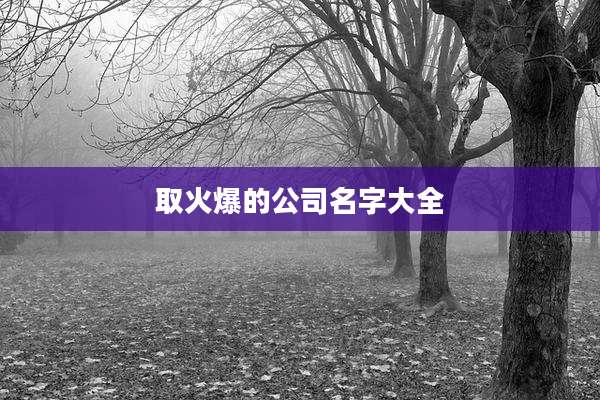 取火爆的公司名字大全