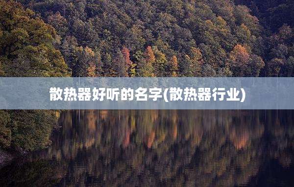 散热器好听的名字(散热器行业)