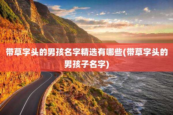 带草字头的男孩名字精选有哪些(带草字头的男孩子名字)