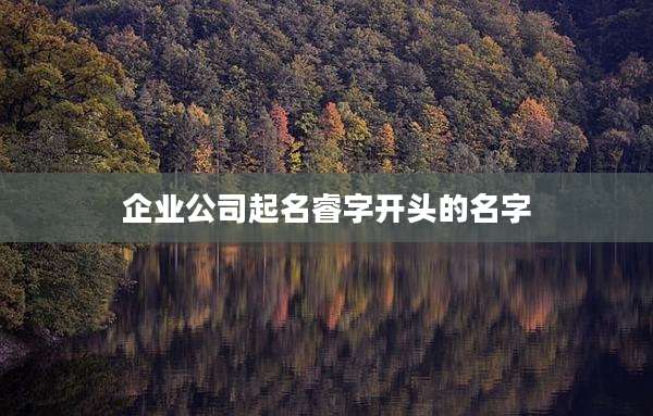 企业公司起名睿字开头的名字