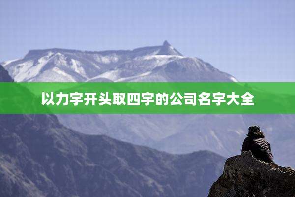 以力字开头取四字的公司名字大全