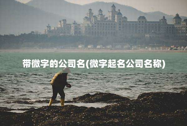 带微字的公司名(微字起名公司名称)