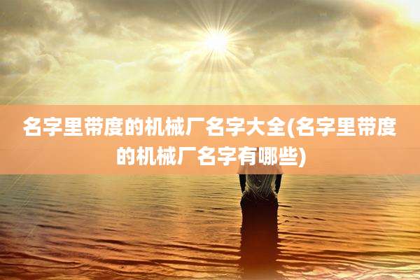 名字里带度的机械厂名字大全(名字里带度的机械厂名字有哪些)