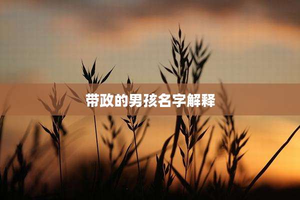 带政的男孩名字解释