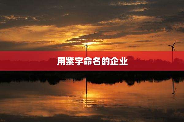 用紫字命名的企业