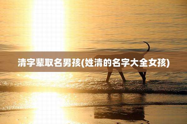 清字辈取名男孩(姓清的名字大全女孩)