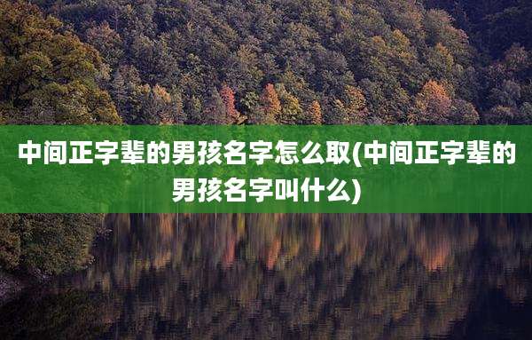 中间正字辈的男孩名字怎么取(中间正字辈的男孩名字叫什么)