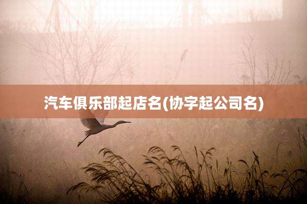 汽车俱乐部起店名(协字起公司名)