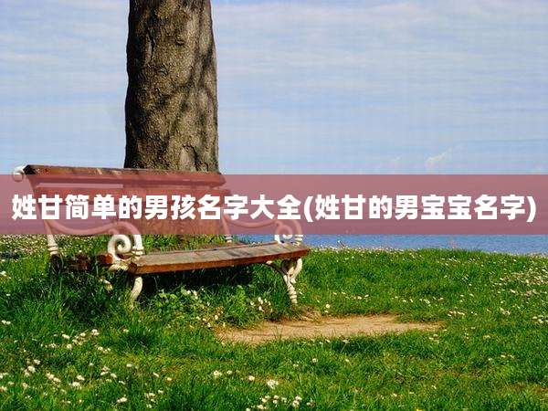 姓甘简单的男孩名字大全(姓甘的男宝宝名字)