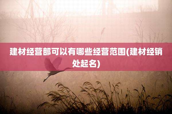 建材经营部可以有哪些经营范围(建材经销处起名)