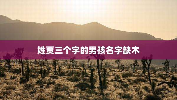 姓贾三个字的男孩名字缺木
